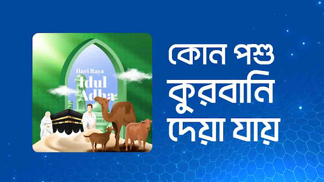 কোন কোন পশু কোরবানি দেওয়া যায় সে সম্পর্কে বিস্তারিত জেনে নিন