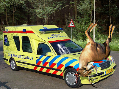 Dierenambulance