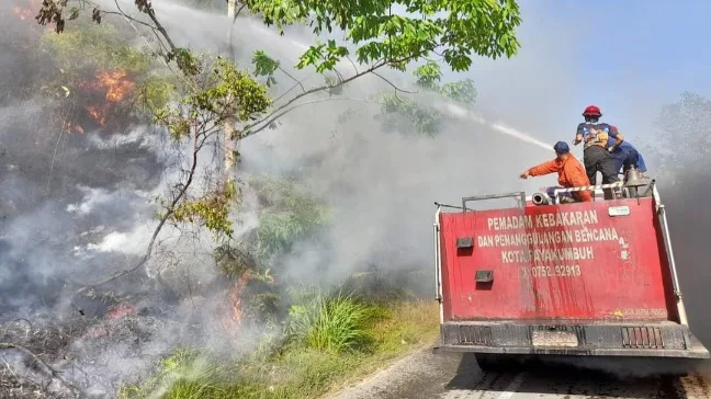 Tak Kenal Lelah, Damkar Payakumbuh Berjibaku Dengan 5 Kejadian Kebakaran Dan 2 Hewan Berbahaya