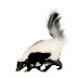 Skunks Removal & Pest Control London Ontario