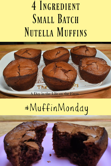 Nutella Muffins