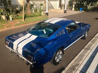 FORSALE Ford Mustang GT350 For Best Price
