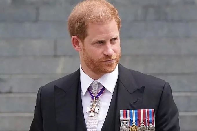 Prince Harry is investigated for lying on his North American documentation