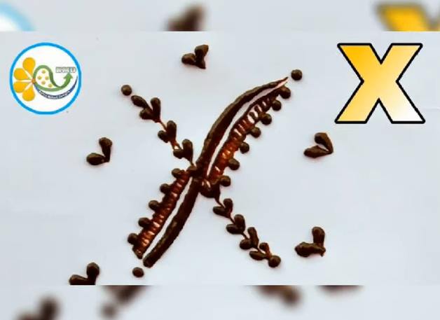 X দিয়ে মেহেদি ডিজাইন - অক্ষর দিয়ে মেহেদি ডিজাইন - Mehndi designs with letters - NeotericIT.com