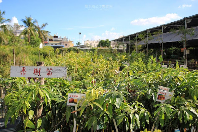 農友種苗總部及休閒農場-7