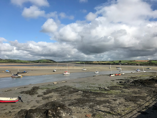 Camel Estuary from the Camel Trail, Padstow, Cornwall