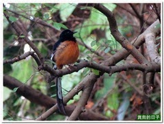 20131101_153349_017_BotanicalGarden