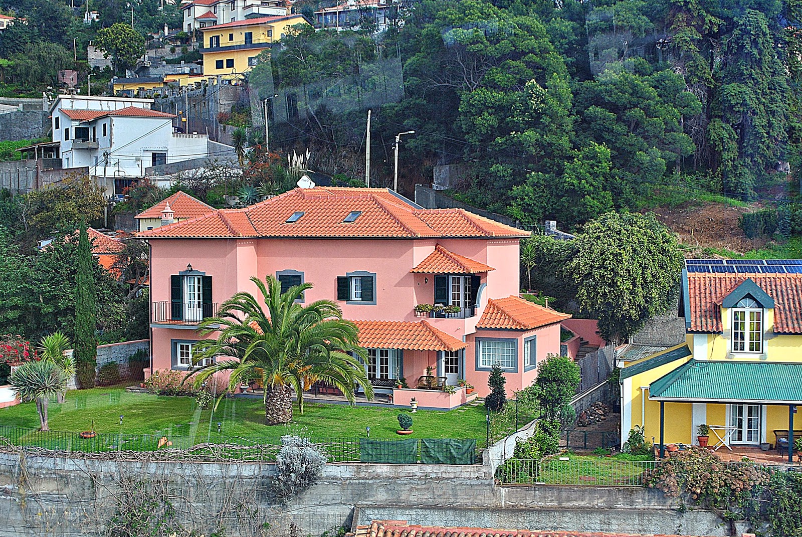 FUNCHAL - MADERA GRUDZIEŃ 204