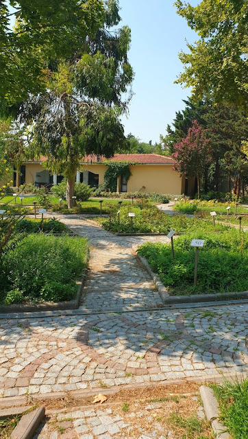 حديقة نباتات زيتون بورنو الطبية الأولى من نوعها في تركيا