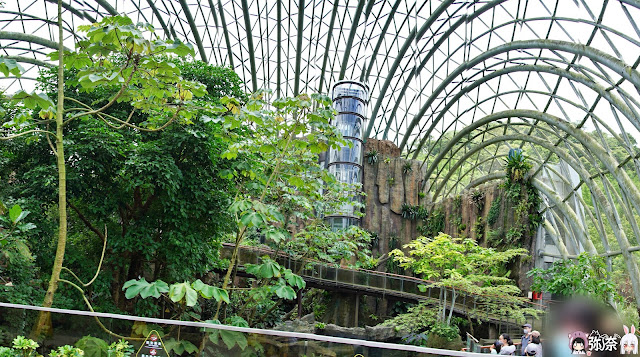 熱帶雨林區－穿山甲館