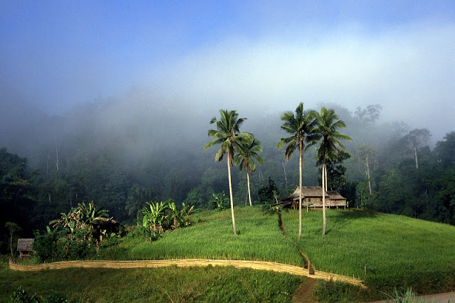 Sulawesi Island - Indonesia