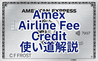 Amex Airline Fee Credit