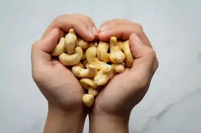 bnefits of eating cashew empty stomach