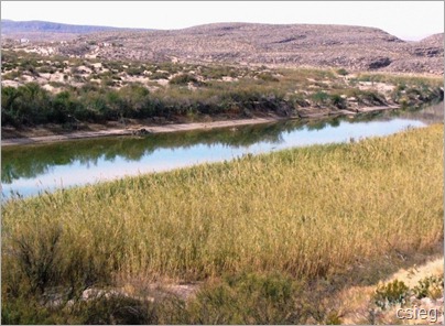 The Border Trades Mexico (3)