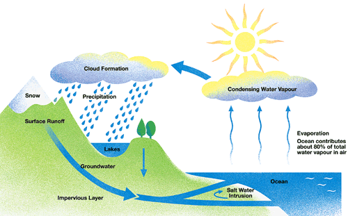 quiz Rock cycle printables - mission