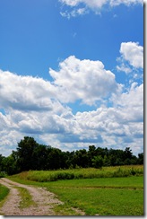 DSC_1299_edited