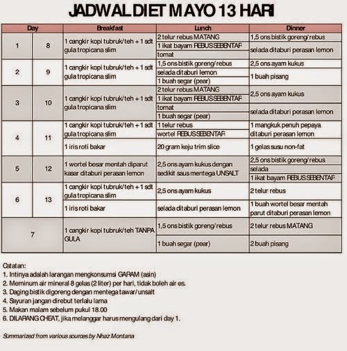 diet mayo 13 hari pdf
