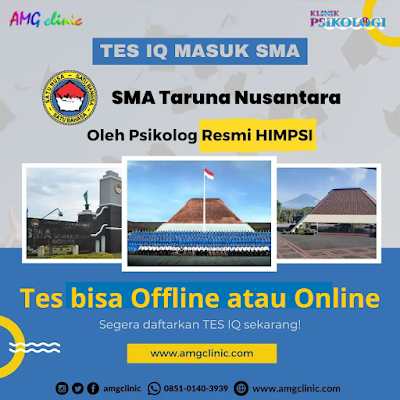 Tes IQ masuk SMA Taruna Nusantara oleh Psikolog RESMI HIMPSI