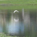 View album