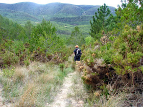 Senderismo - GR-36 Montanejos - Alcudia de Veo