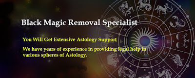 http://www.astrologervishnuji.com/