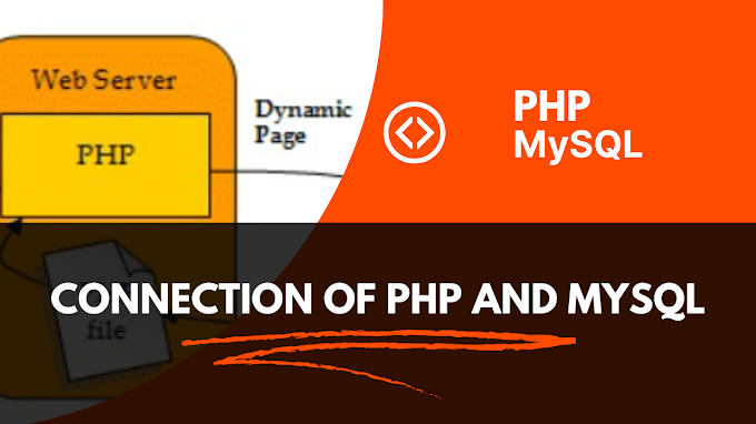 Connect PHP with Database(MySQL)