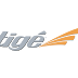 Tige Boats Logo