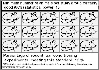 rodent experiments