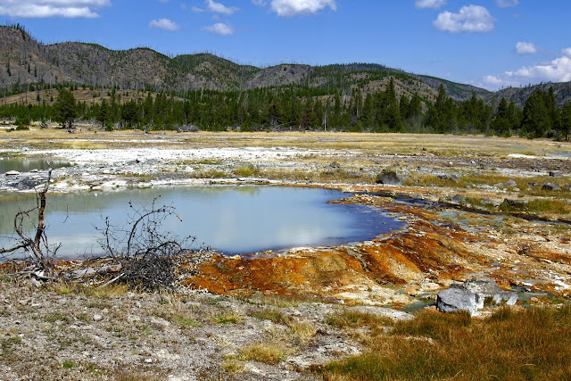 Gambar pemandangan batu kuning taman nasional Amerika Serikat