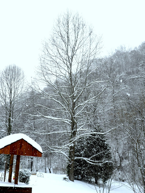 Snow January 2016