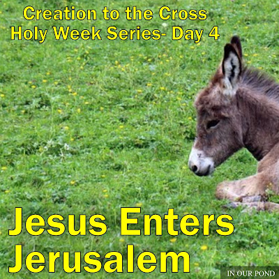 Jesus Enters Jerusalem- Creation to the Cross Holy Week Series for Kids- from In Our Pond