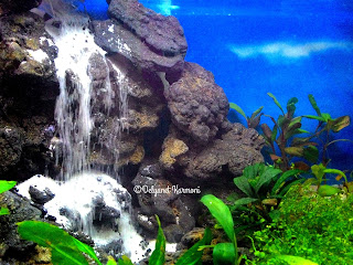 aquascape sandfall