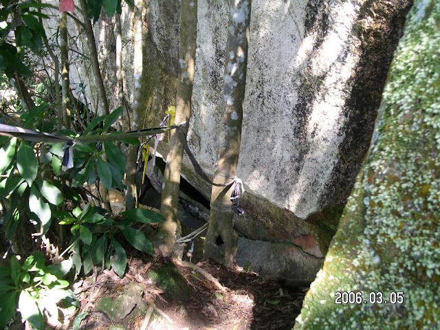 大崙頭山、碧山、白石湖山、大邱田山…趴趴走 (2006.03