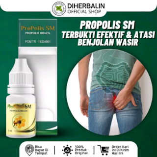 Jual Obat Wasir Propolis