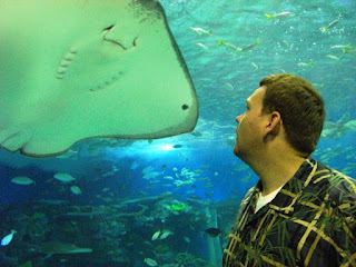 Under Sting Ray