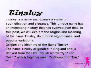 meaning of the name "Tinsley"