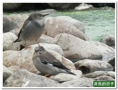 20110121_232440_144_Kinmen