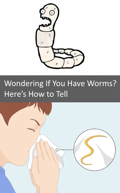 Wondering If You Have Worms? Here’s How to Tell