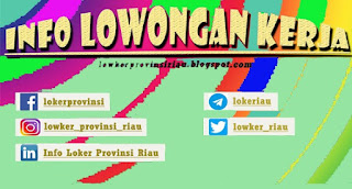 Toys Kingdom  pku