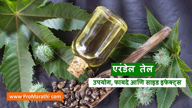 Castor Oil in Marathi