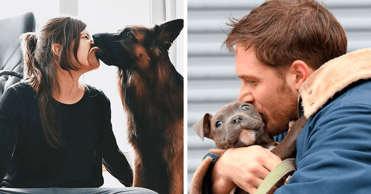 Humans Kiss Their Dogs More Often Than Their Partners According To Survey