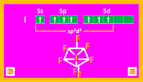 structure of IF7