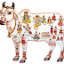 THE IMPORTANCE OF COW IN HINDU VEDIC CULTURE