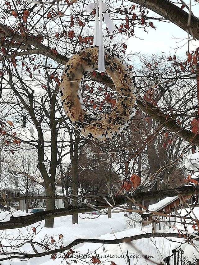 Natural, winter ice wreath, Christmas ice wreath with birdseed. Frozen ice wreath bird feeder with sunflowers seeds