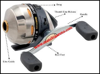 Mengenal Lebih Detail Tentang Spinning Reel