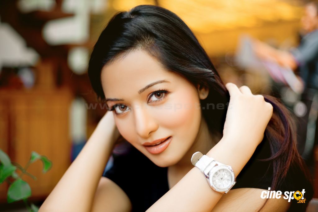 Preetika Rao Hot Photoshoot Pics