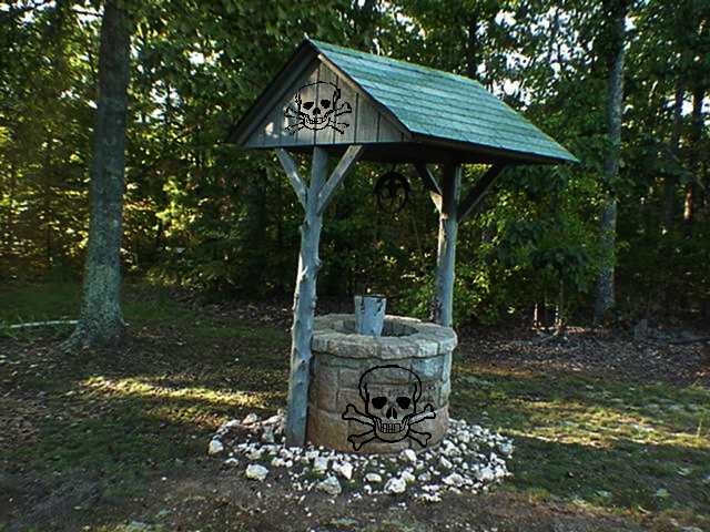 The poisoned well