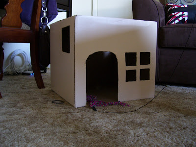 Cardboard Cat House