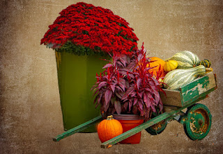 fall scene with fall flowers, pumpkins & gourds