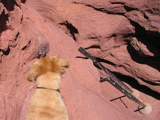 'Now what?!' - Scout at the top of the Fisher Towers ladder